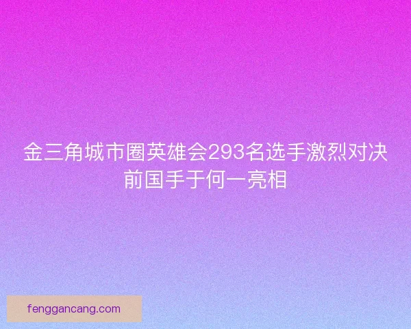 金三角城市圈英雄会293名选手激烈对决前国手于何一亮相