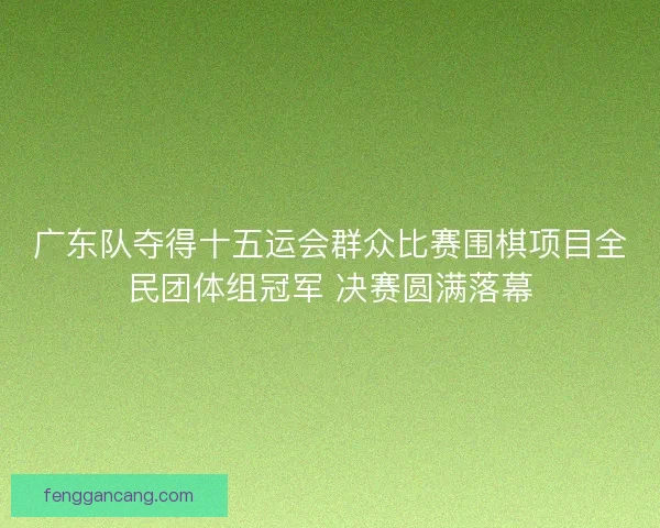 广东队夺得十五运会群众比赛围棋项目全民团体组冠军 决赛圆满落幕